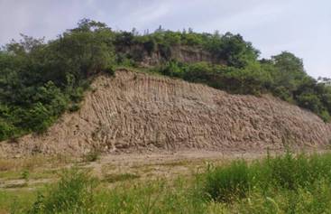 Cache_54568a816ba02117.